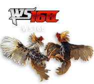 ws168 ROKETSLOT